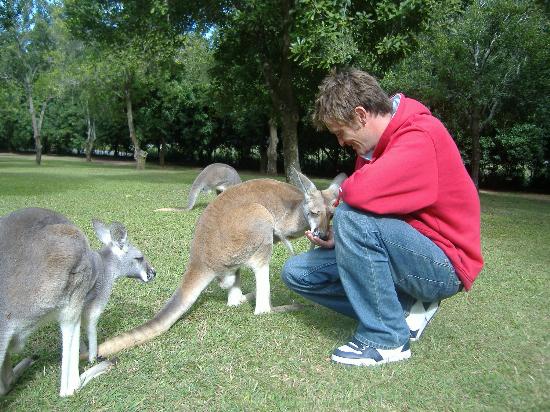 Two Weeks on the East Coast of Oz